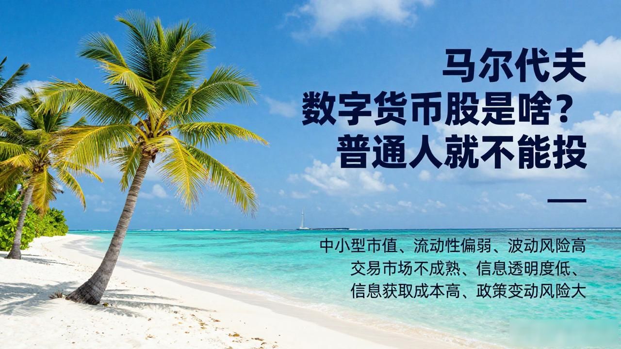 马尔代夫数字货币股_马尔代夫数字货币股_马尔代夫金融科技产业链